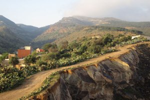 The Undocumented - Survival